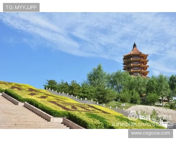 维萨致姆伯莫告别信：从朋友到对手的传奇旅程与感恩之情